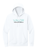 VALOR VOLLEYBALL. DT6100