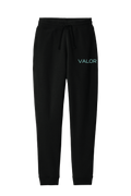 VALOR. DT6107