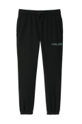 VALOR. DT6110