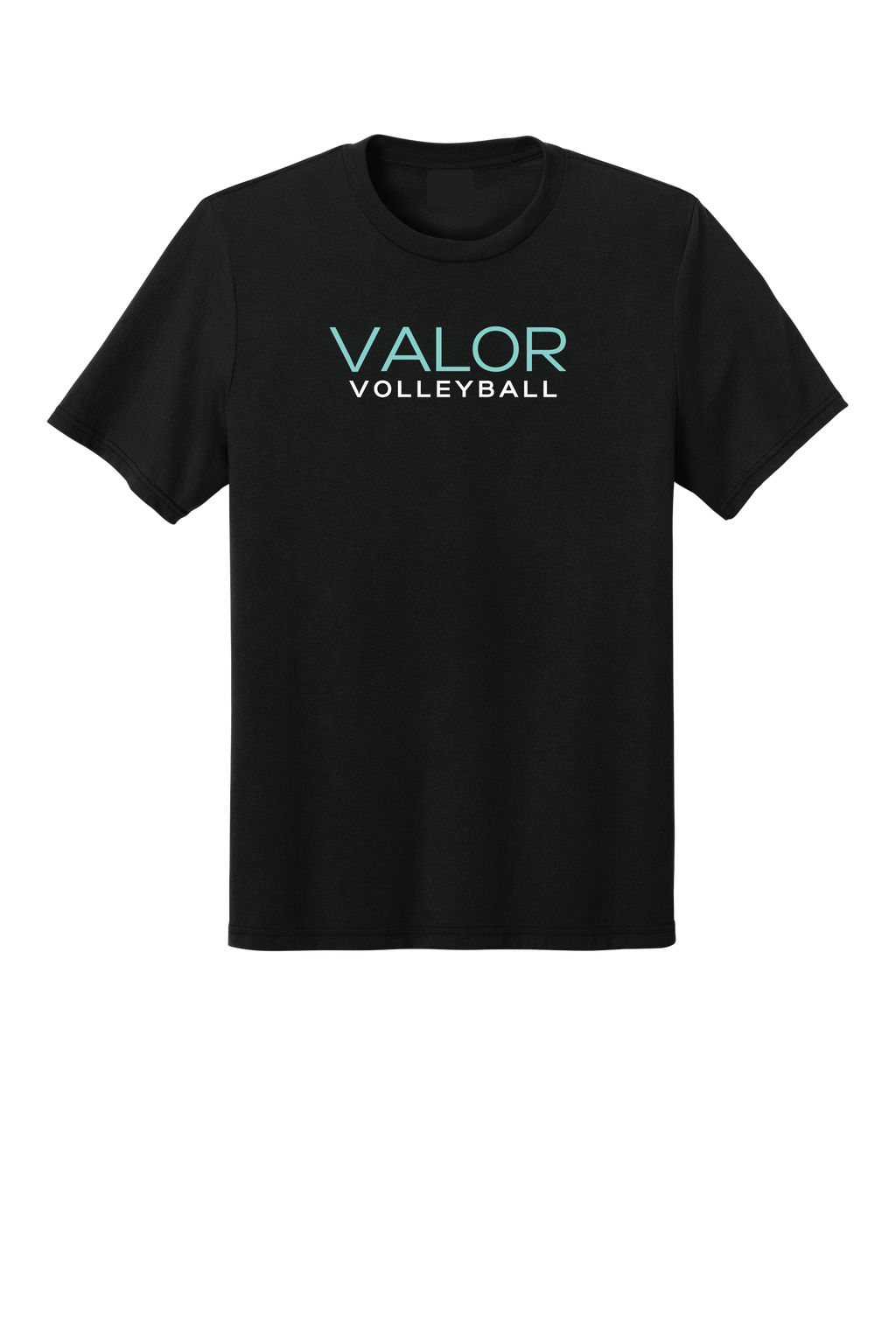 VALOR VOLLEYBALL. DM108