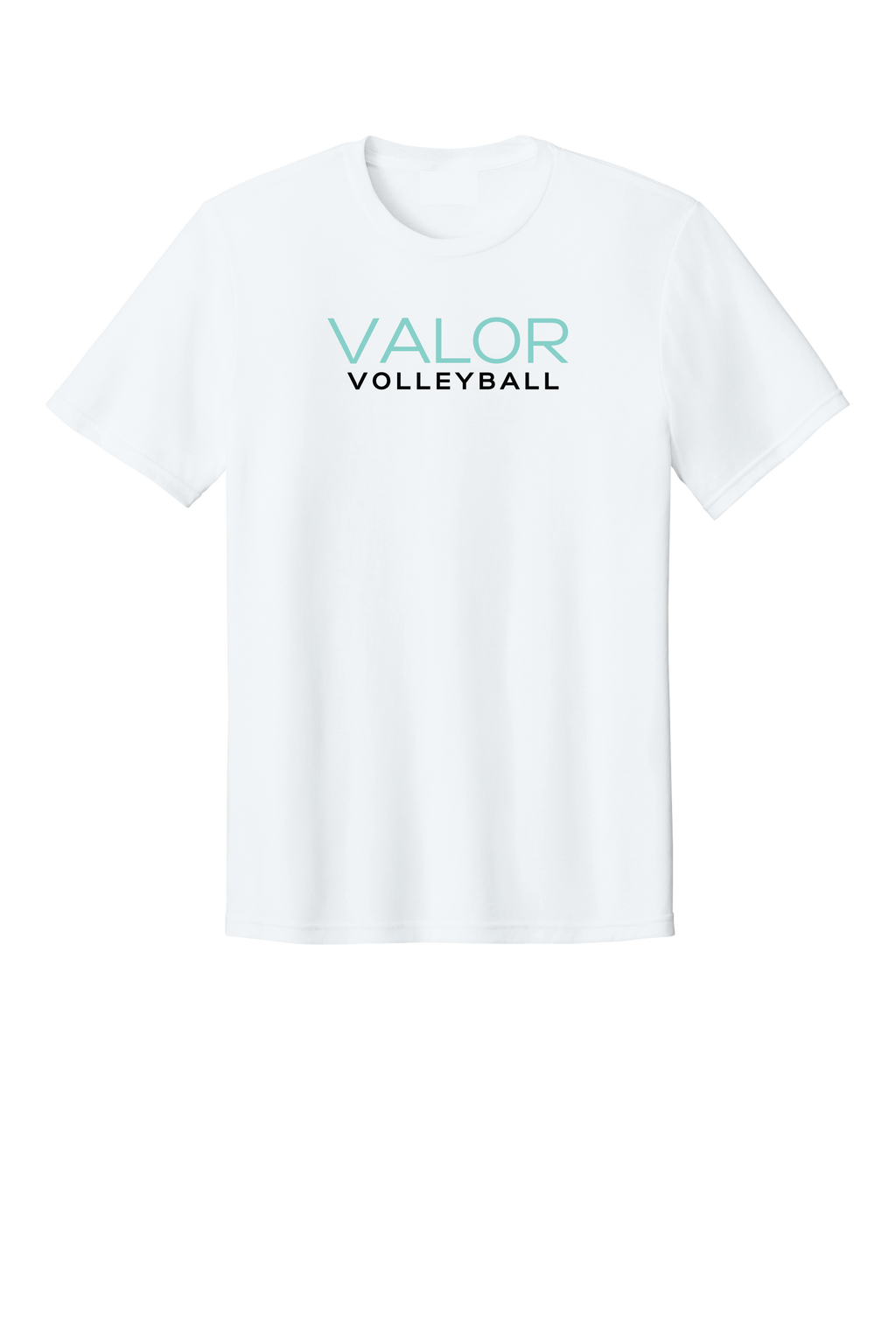 VALOR VOLLEYBALL. DM108